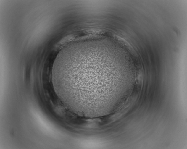 X0000112950334200909071120