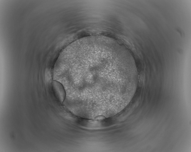 X0000112950335200909071120