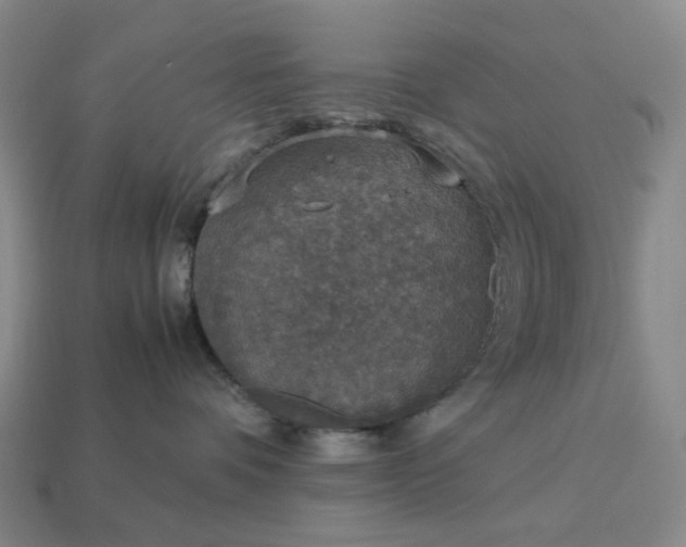 X0000112950336200909071120