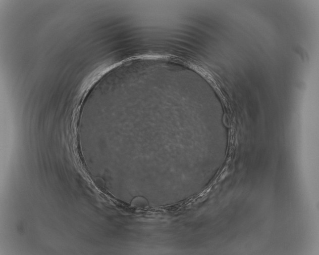 X0000112950337200909071120