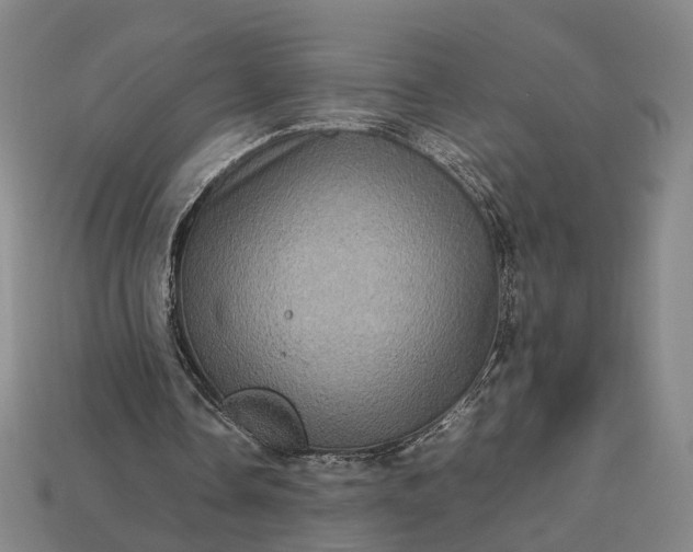 X0000112950338200909071120