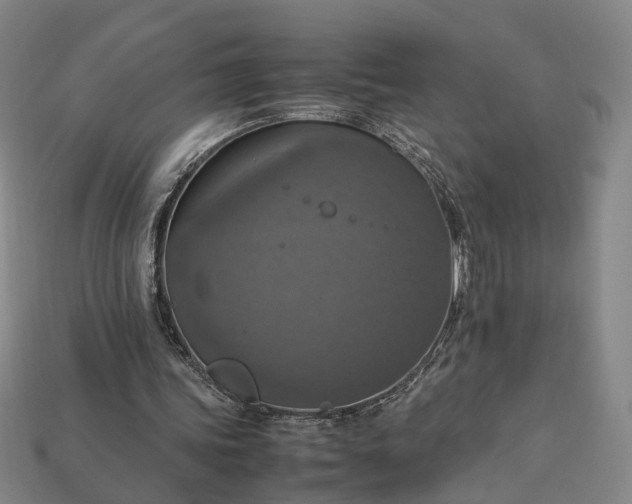 X0000112950339200909071120