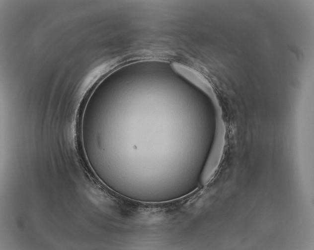 X0000112950340200909071120