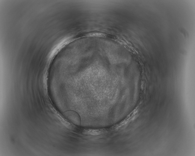 X0000112950341200909071120