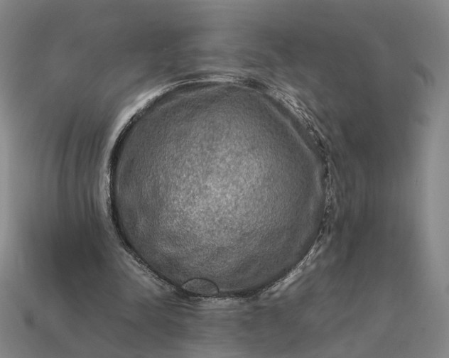 X0000112950342200909071120