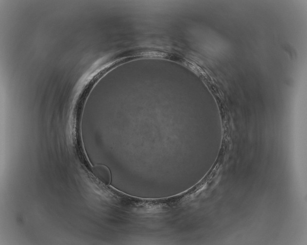 X0000112950343200909071120