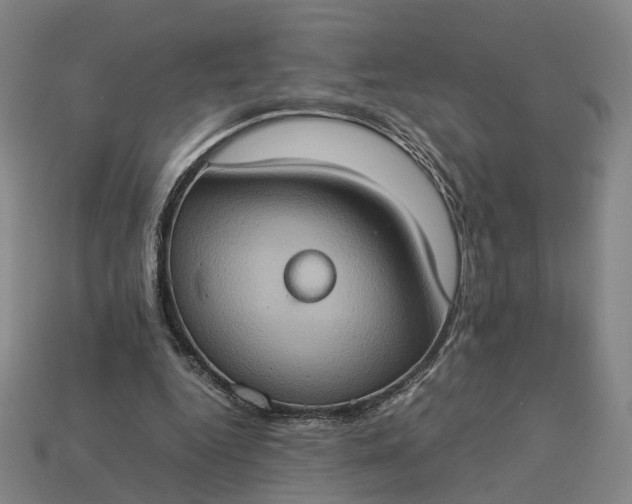 X0000112950344200909071120