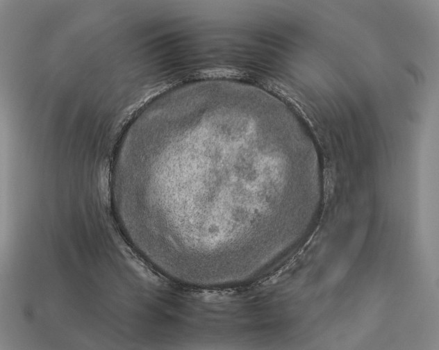 X0000112950345200909071120