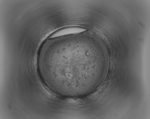 X0000112950346200909071120