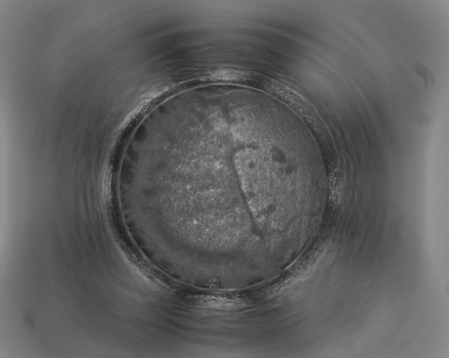 X0000112950347200909071120