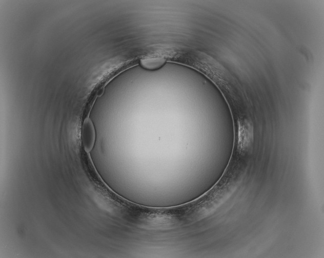 X0000112950348200909071120