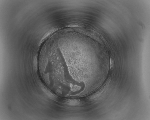 X0000112950349200909071120