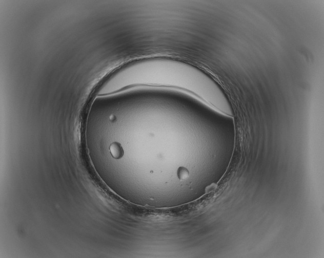 X0000112950350200909071120