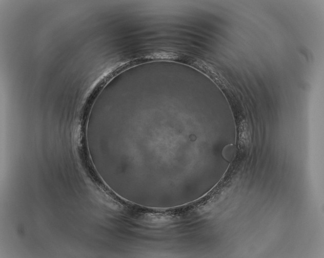 X0000112950351200909071120