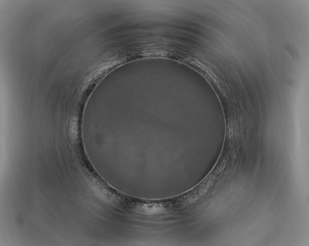 X0000112950353200909071120