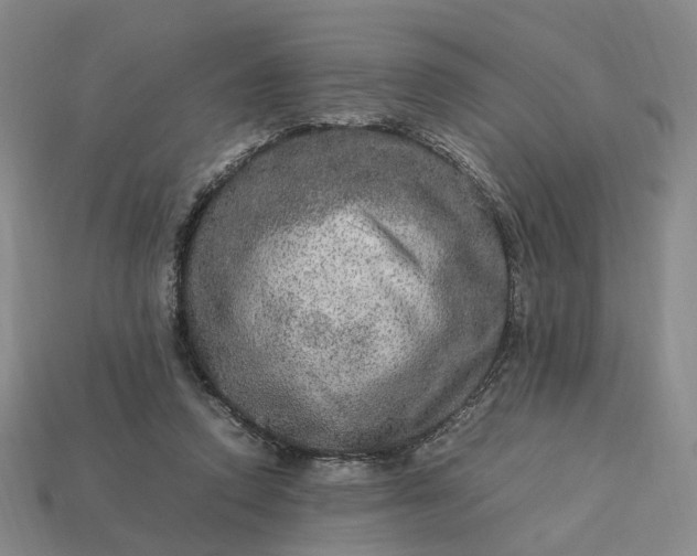 X0000112950354200909071120