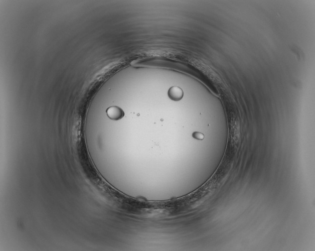 X0000112950356200909071120