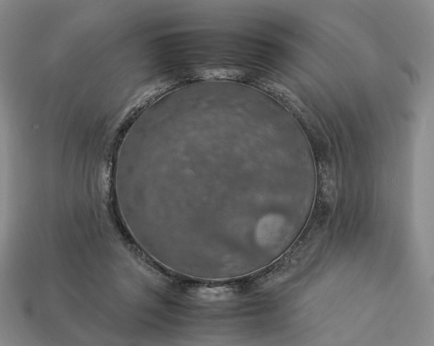 X0000112950357200909071120