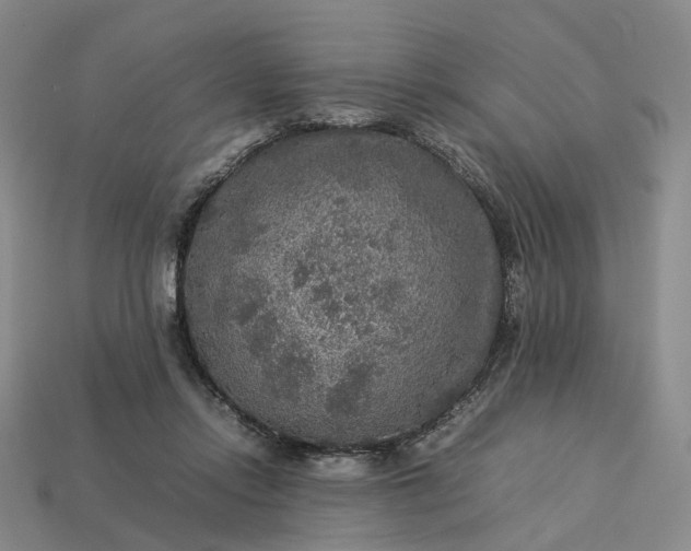 X0000112950358200909071120