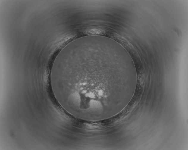 X0000112950359200909071120