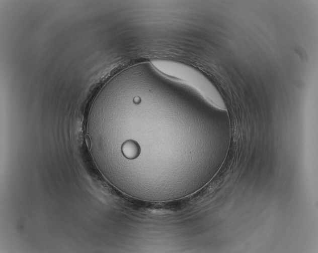 X0000112950360200909071120