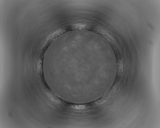 X0000112950361200909071120