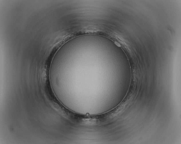 X0000112950362200909071120