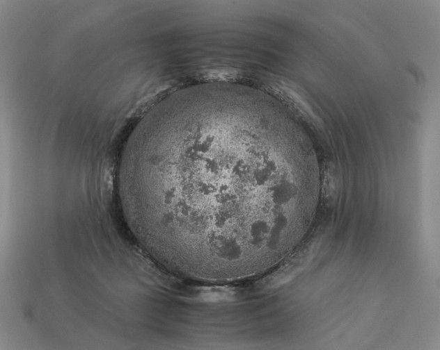 X0000112950363200909071120