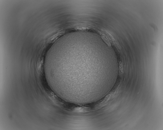 X0000112950364200909071120