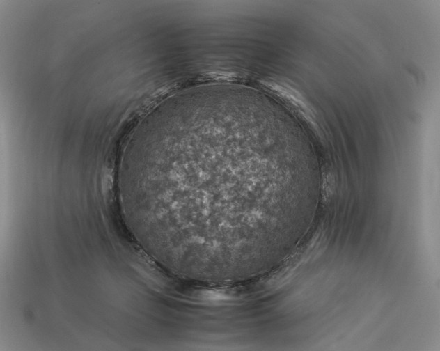 X0000112950365200909071120