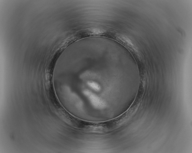 X0000112950366200909071120