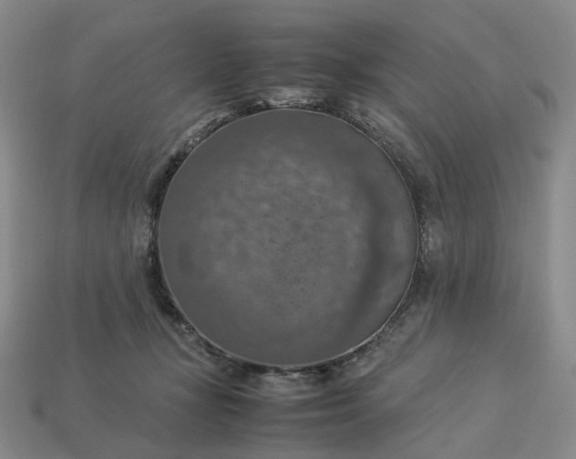 X0000112950367200909071120