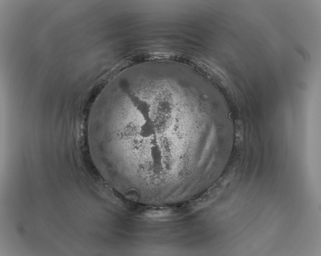 X0000112950369200909071120