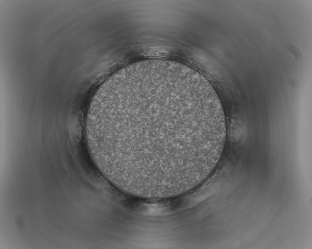 X0000112950370200909071120