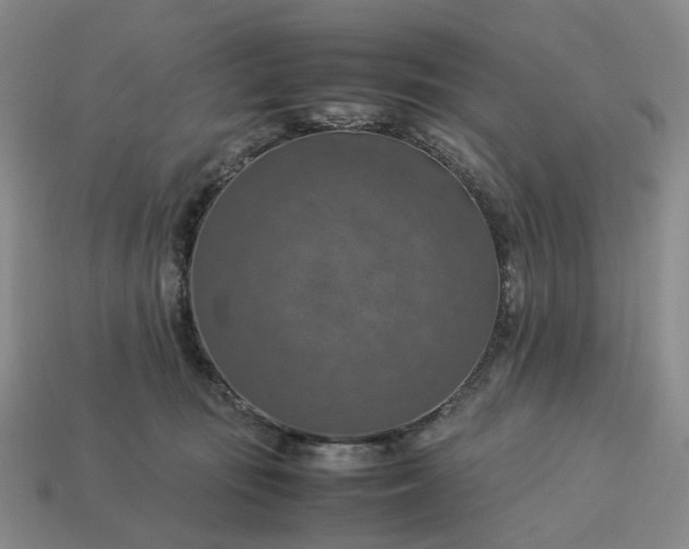 X0000112950371200909071120