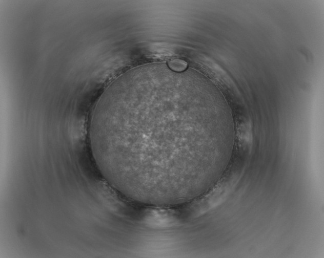 X0000112950372200909071120