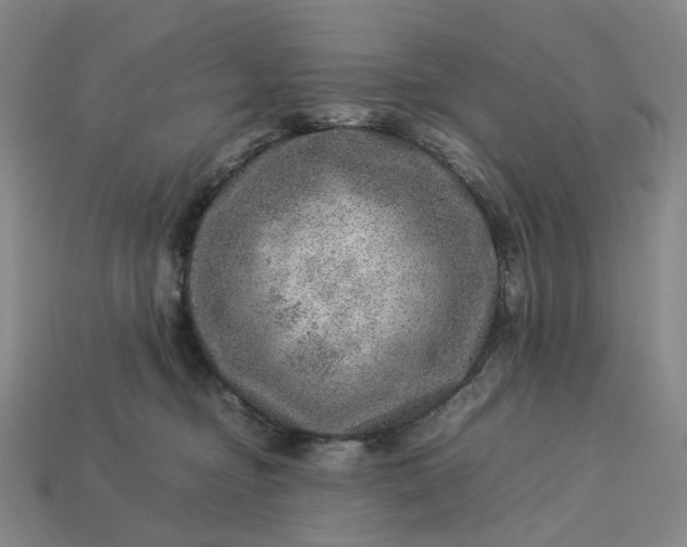 X0000112950374200909071120