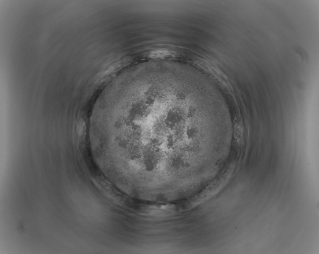 X0000112950375200909071120