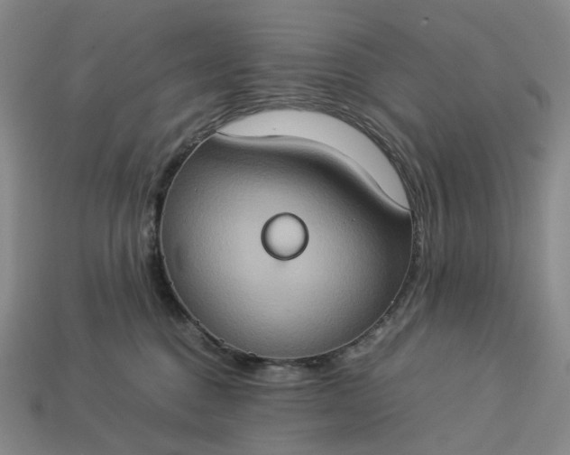 X0000112950376200909071120