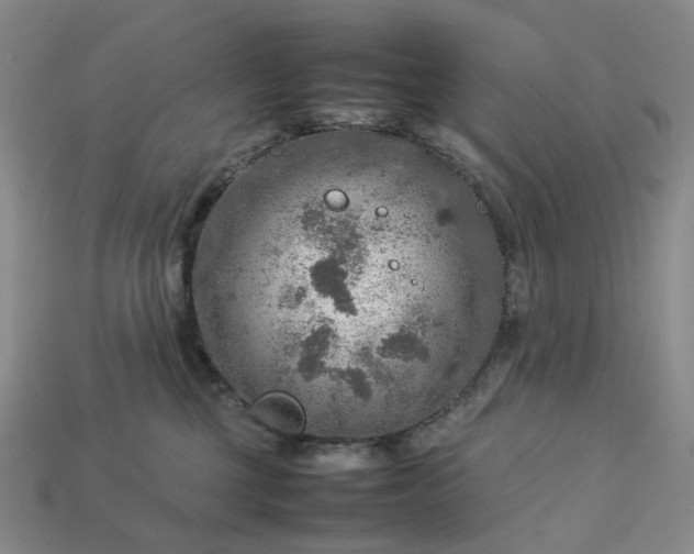 X0000112950377200909071120