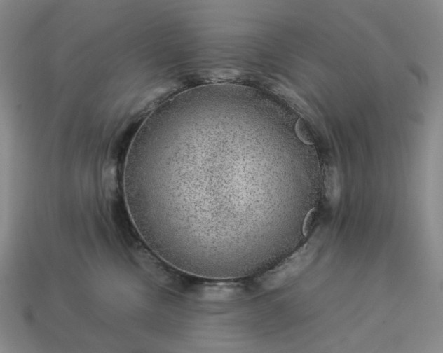 X0000112950378200909071120