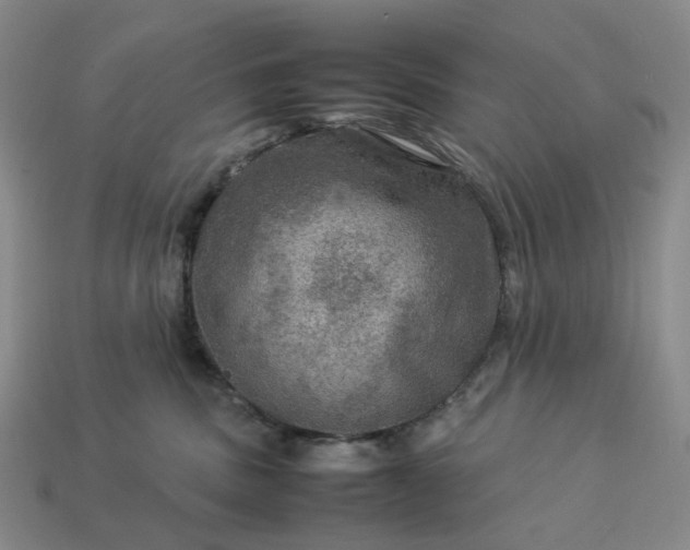 X0000112950379200909071120