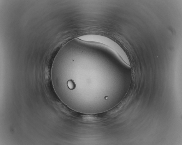 X0000112950380200909071120