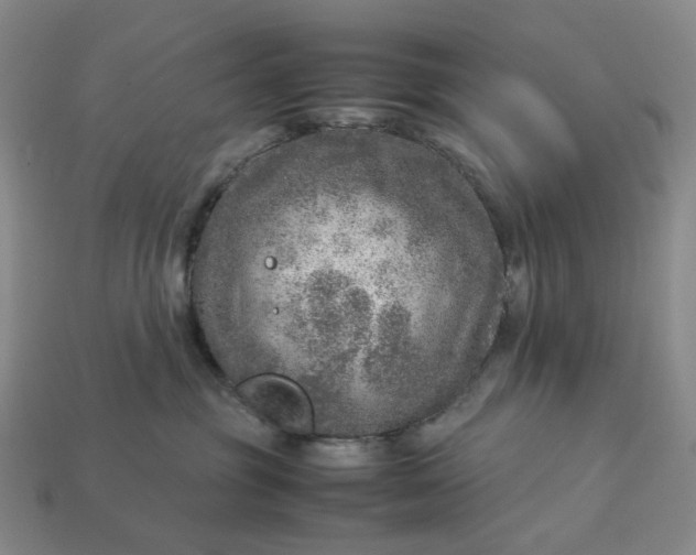 X0000112950381200909071120