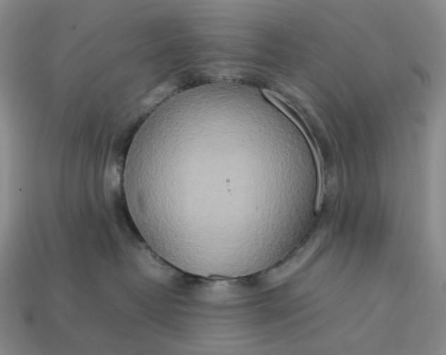 X0000112950382200909071120