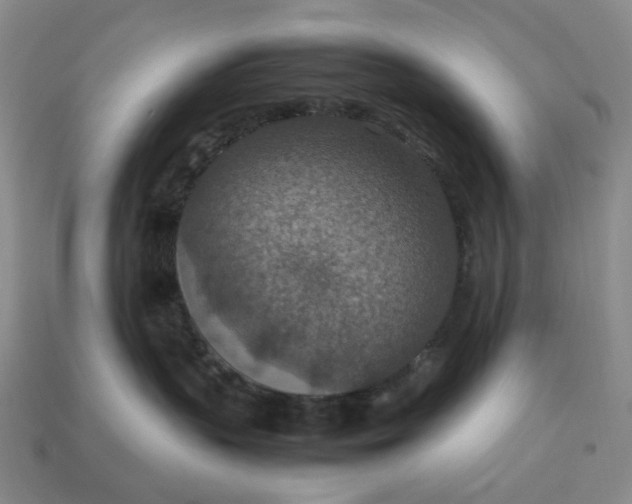 X0000112950383200909071120