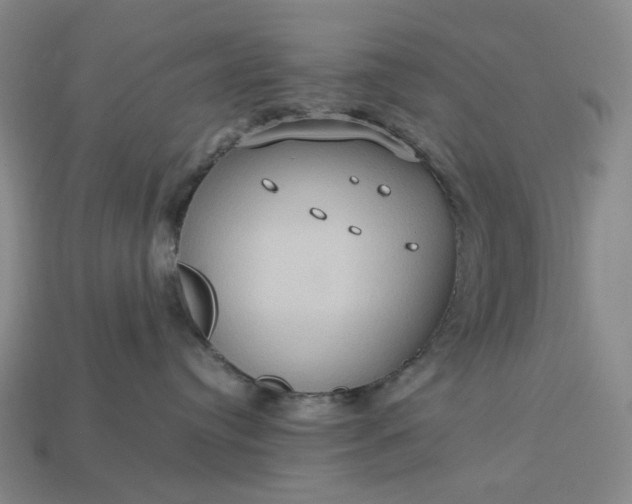 X0000112950384200909071120