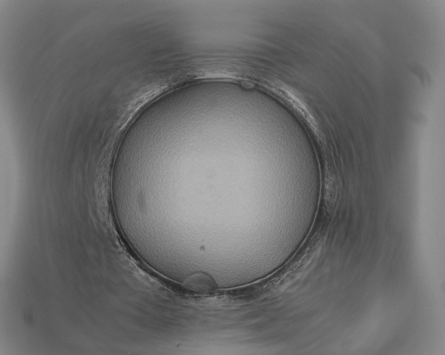 X0000112950385200909071120