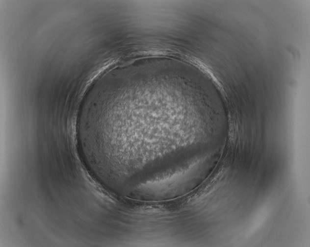 X0000112950386200909071120