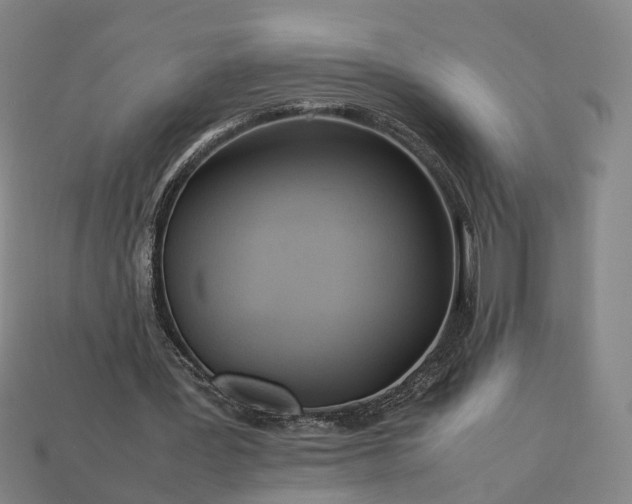 X0000112950387200909071120